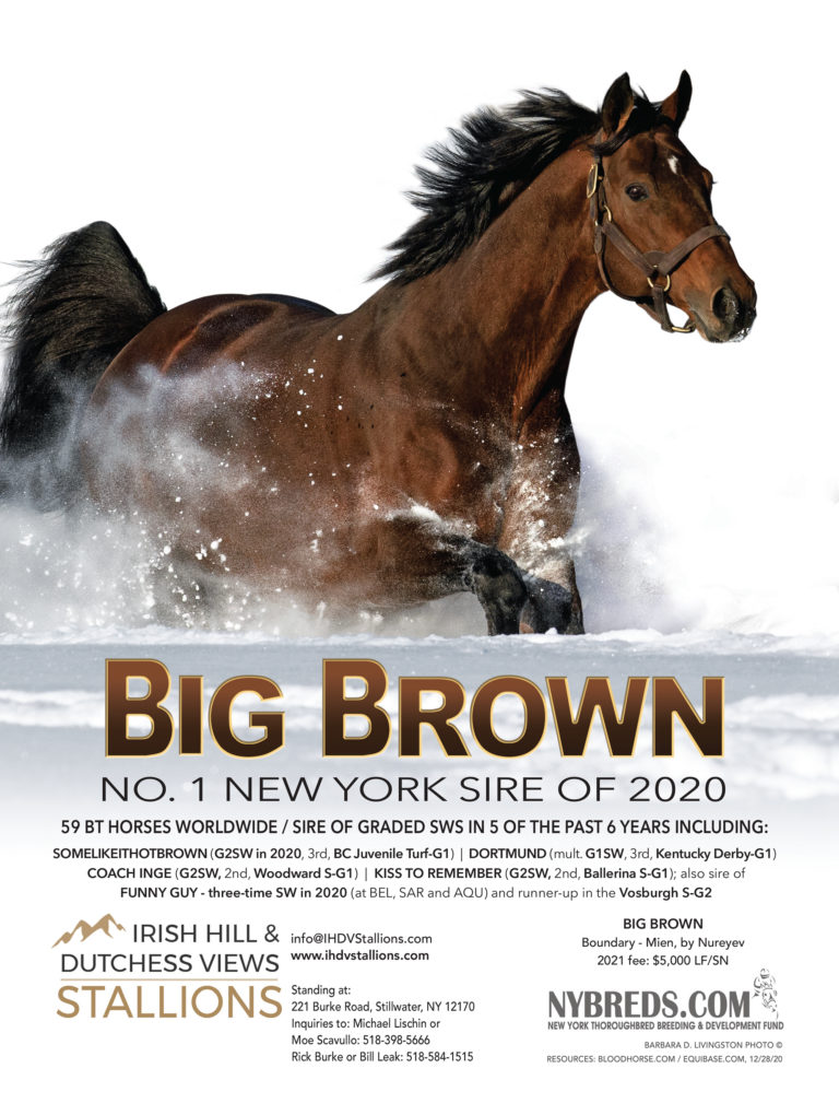 Irish Hill and Dutchess Views Stallions - Big Brown